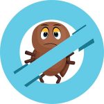Why Professional Advice Improves Lice Treatment Outcomes