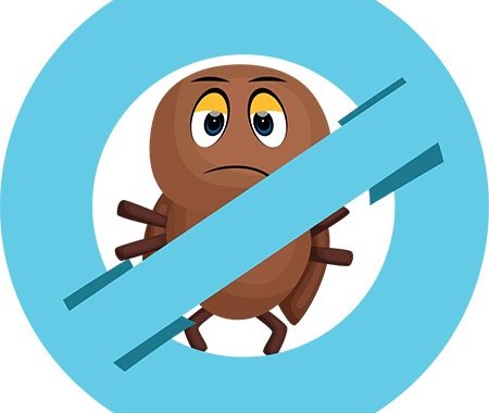 Why Professional Advice Improves Lice Treatment Outcomes