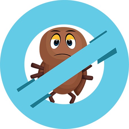 Why Professional Advice Improves Lice Treatment Outcomes