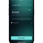 TRC20 vs ERC20: Which Network Is Best for Everyday USDT Transfers?